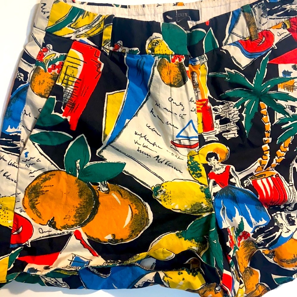 J Crew Shorts with a pair of Sunglasses - Picture 5 of 7